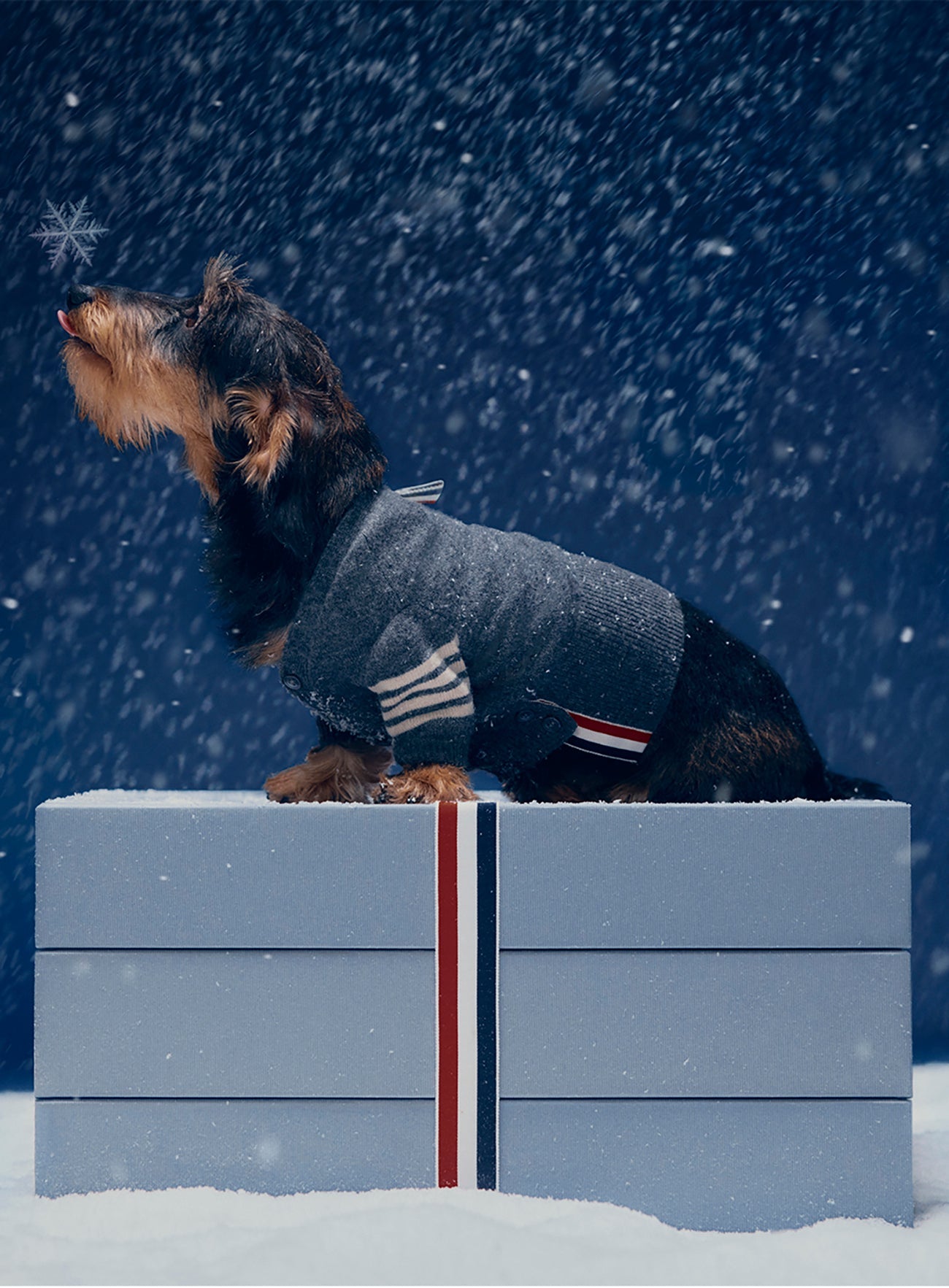 アーカイブ | Thom Browne