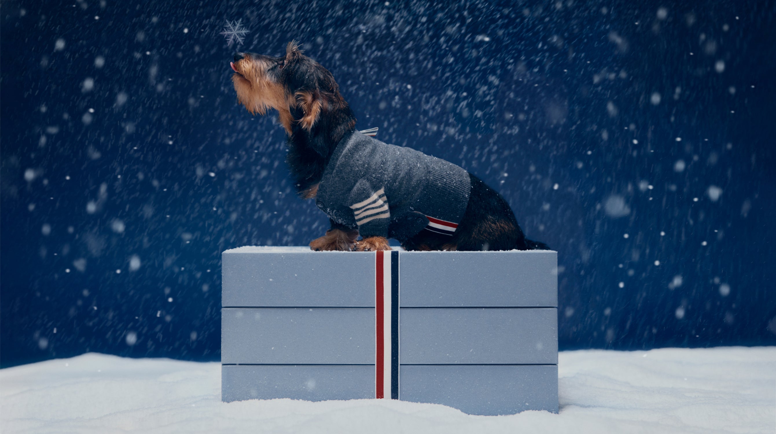 THOM_BROWNE-HOLIDAYS-