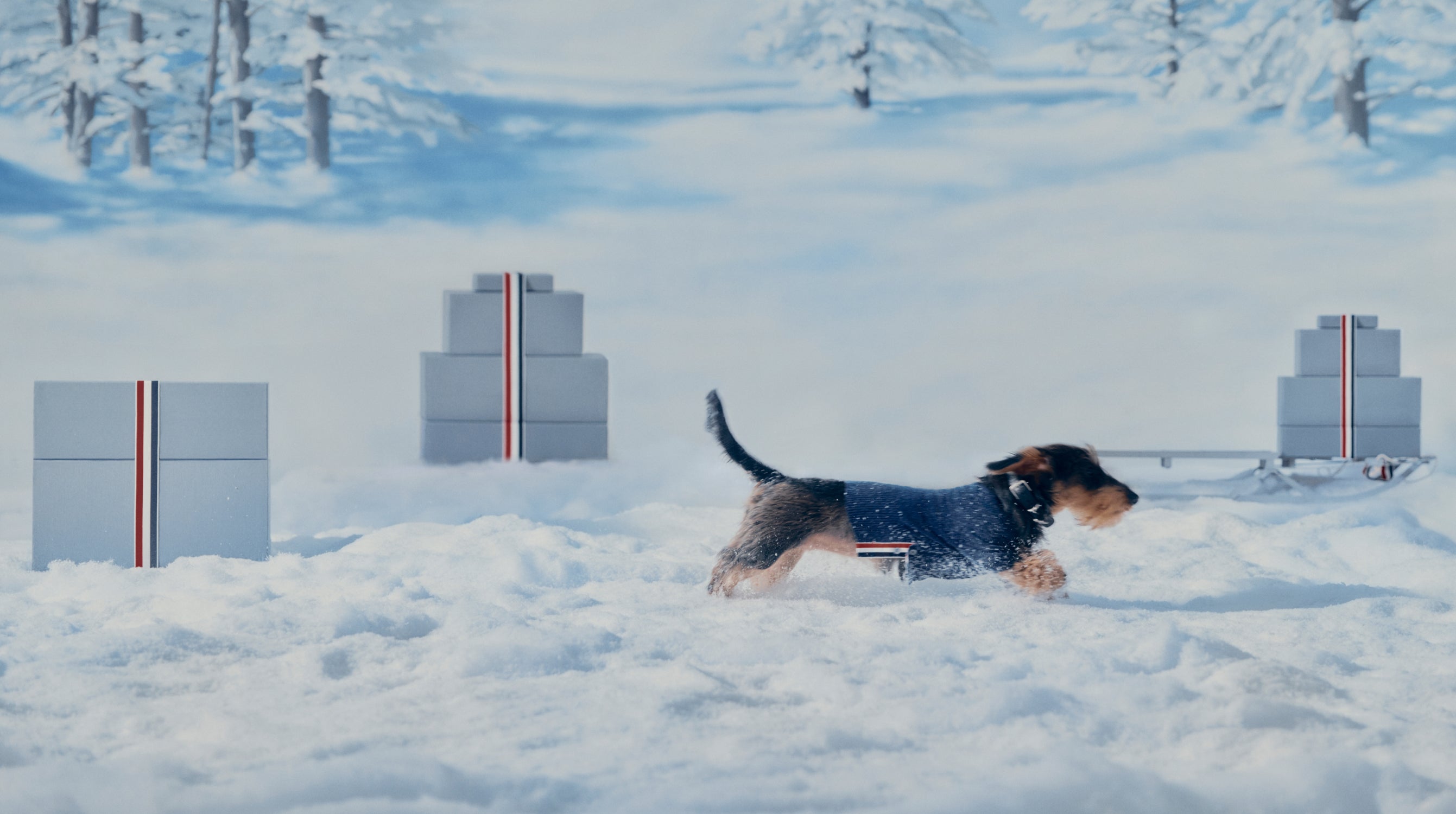 ⭐︎新品未使用⭐︎THOM BROWNE THOM BROWNE 2024 PRE FALL COLLECTION │ QUI - Fashion & Culture media