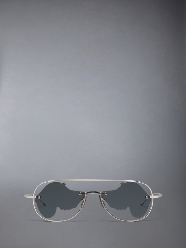 TITANIUM HECTOR AVIATOR SUNGLASSES - featured image